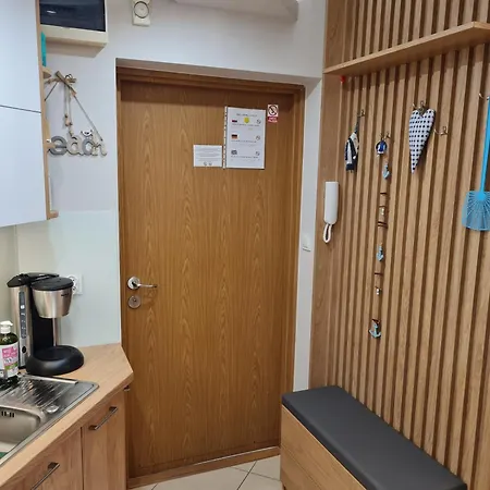 Golden 米兹多洛杰